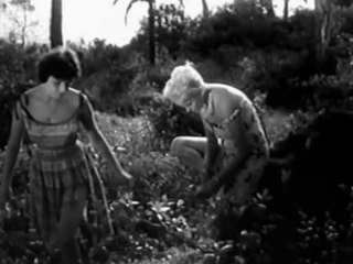 Horrors Of Spider Island