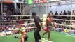 Muay thai : KO en un coup de pied au visage