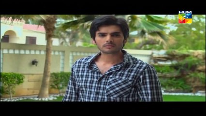 Agar Tum Na Hotay Episode 37 HUM TV Drama
