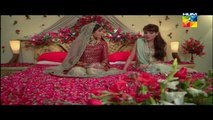 Agar Tum Na Hotay Episode 40 HUM TV Drama