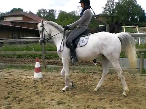 Oxand barres au sol 2 - Mai2014 (stage Laurence)