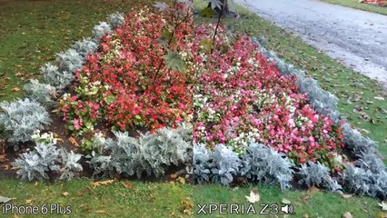 iPhone 6 Plus vs Sony Xperia Z3 Camera Comparison OIS vs DIS