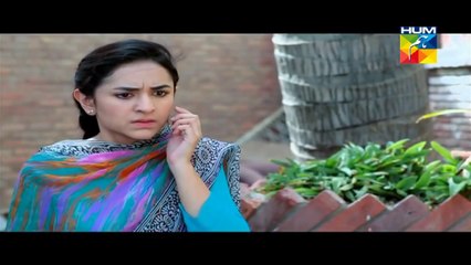 Mausam Episode 19 HUM TV Drama Full Episode