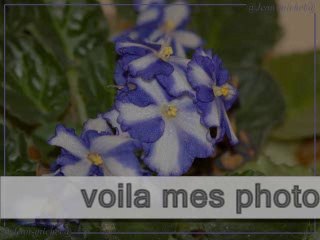 mes photos avec une superbe musique