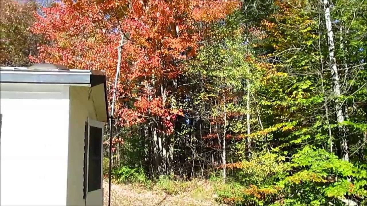 Fall Foliage