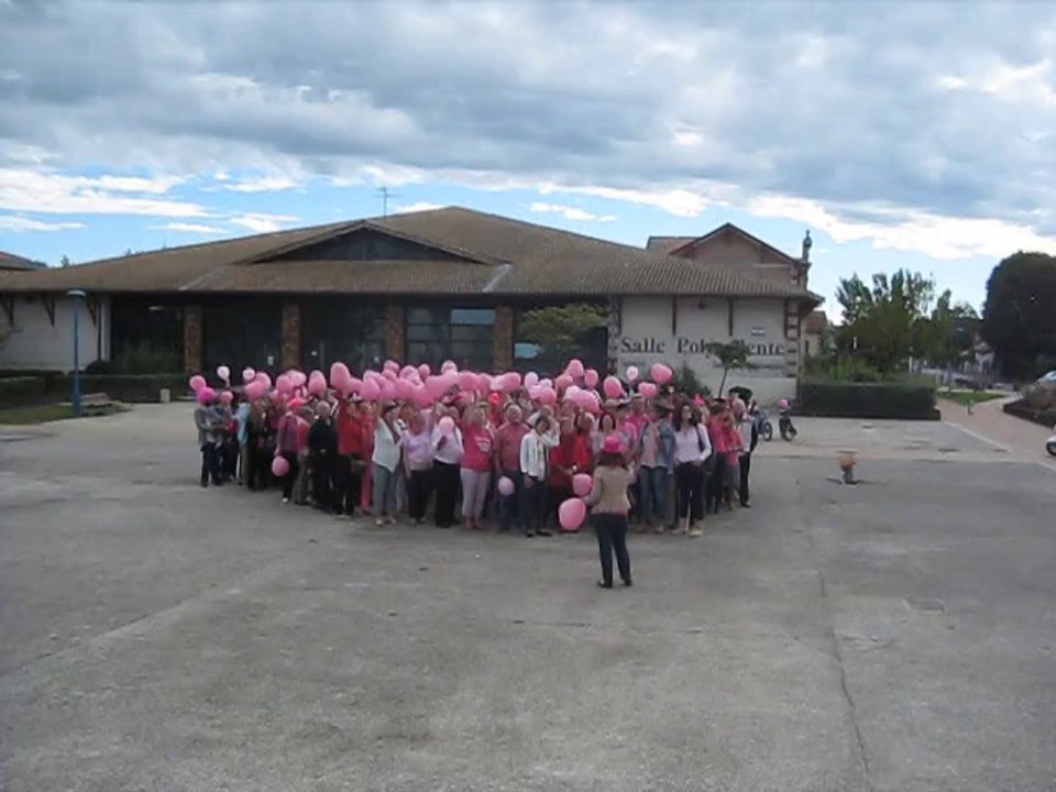Octobre rose dimanche 12 octobre 2014 place du souvenir