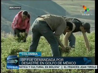 Colombianos demandarán a petrolera BP por daño ambiental a sus tierras