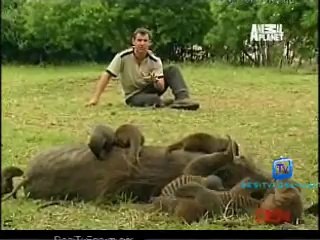Be The Creature 13th October 2014 Video Watch Online Pt2