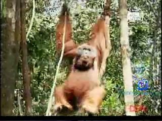 Be The Creature 13th October 2014 Video Watch Online Pt3