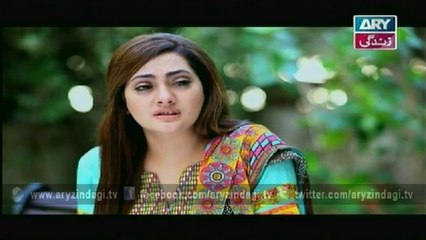 Behenain Aisi Bhi Hoti Hain, Episode 104, 13th October 2014