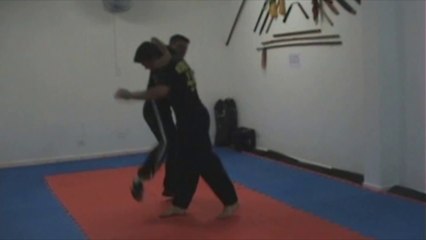 Martial Art Techniques
