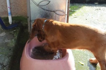 BB FLAVY 13.10.2014 011