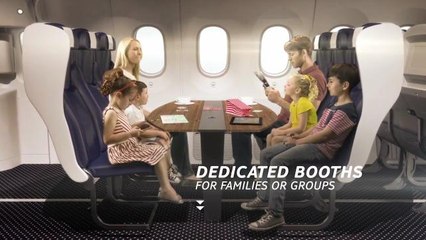Airline Offers Seats for Friends and Family