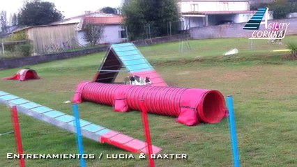 Entrenamiento LUCIA & BAXTER