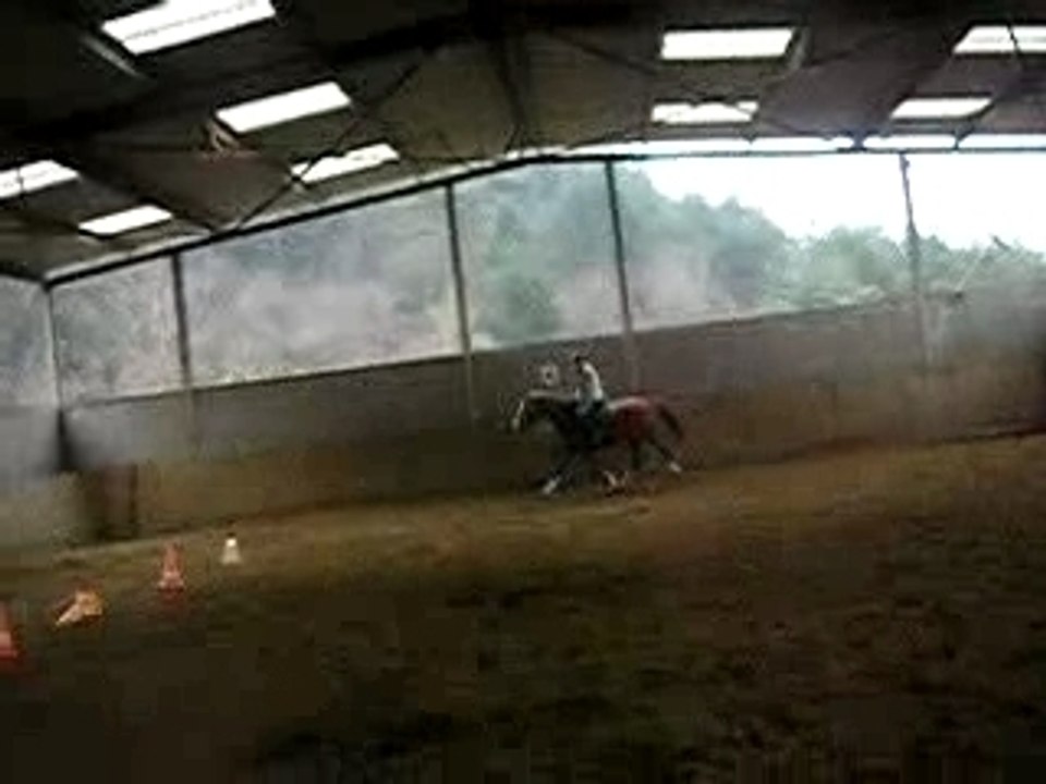 P1010016