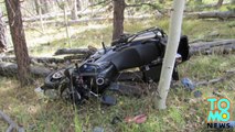 Horrible timing - motorcyclist dies after crashing into falling tree chopped down by boy scout troop.