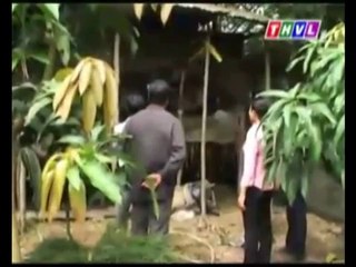 Anh nguyễn văn nhạt trồng cỏ nuôi bò tăng thu nhập gia đình - nghenong.com