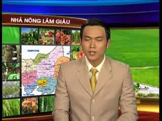 Gương vươn lên làm giàu của anh chị dũng hằng - nghenong.com