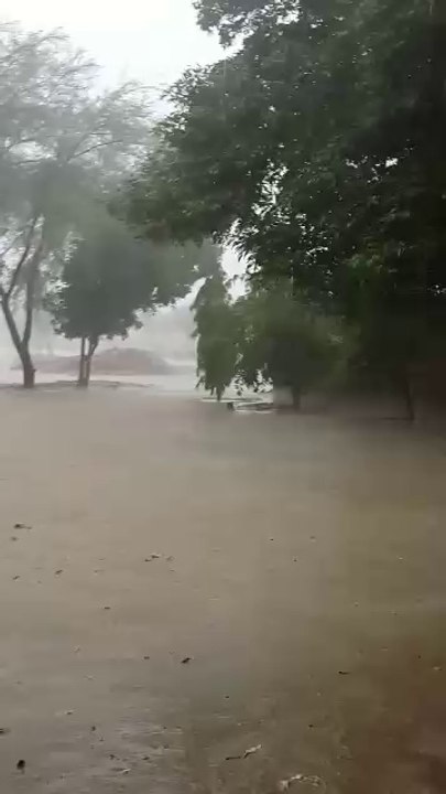 Sindh Thar Rain 2014 Sep 2