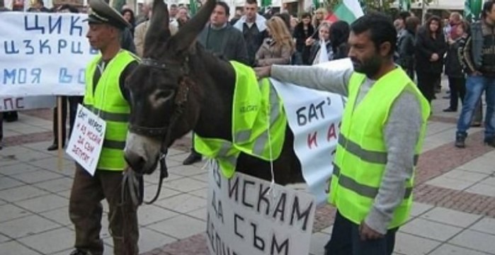 Türklere Eşekle Hakaret Ettiler