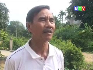 Mô hình cá lúa kết hợp - nghenong.com