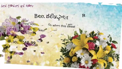 Send Best And Colorful Wishes With Our Beautiful Flowers