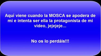 ¿Quieres ingresos por youtube? Mira mi Día 3 del Reto de 21 Dias