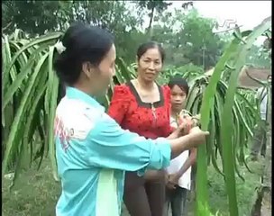 Mô hình chăn nuôi tổng hợp - nghenong.com