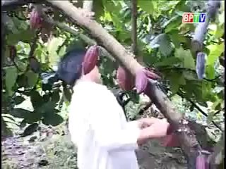 Mô hình chuyển đổi cây trồng nuôi, trồng và đánh bắt thuỷ sản hợp lý - nghenong.com