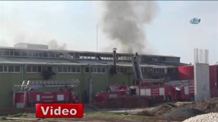 Tekirdağ'da Fabrika Yangını: 1 Yaralı