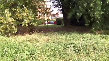 NGM Forward Evolve: Video test di giorno