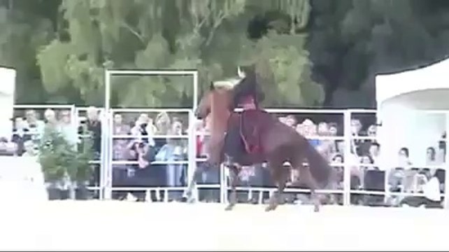 VID-20141014-WA0038.mp4