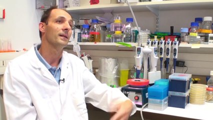 Institut Pasteur - Les bactériophages -  Laurent Debarbieux