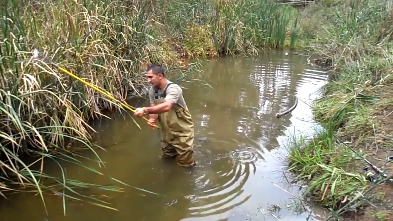 İlginç Balık Avlama Yöntemi
