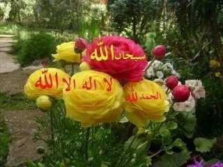 حضرت یوسف علیہ السلام کا قصہ ... حصہ بارہواں