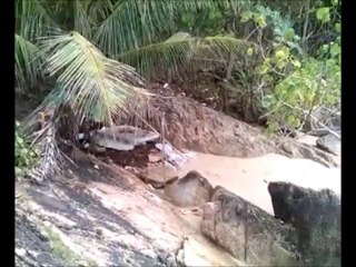 Discover the Stunning Beauty of Banana Beach and Layam Beach 🏖️