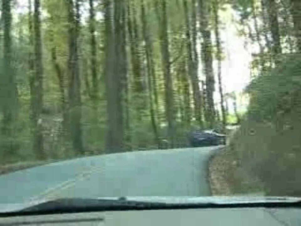 Autoscorvettearbre