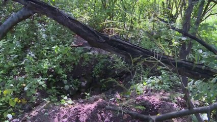 Скачать видео: Gewalt in Mexiko nach Verschleppung von Studenten