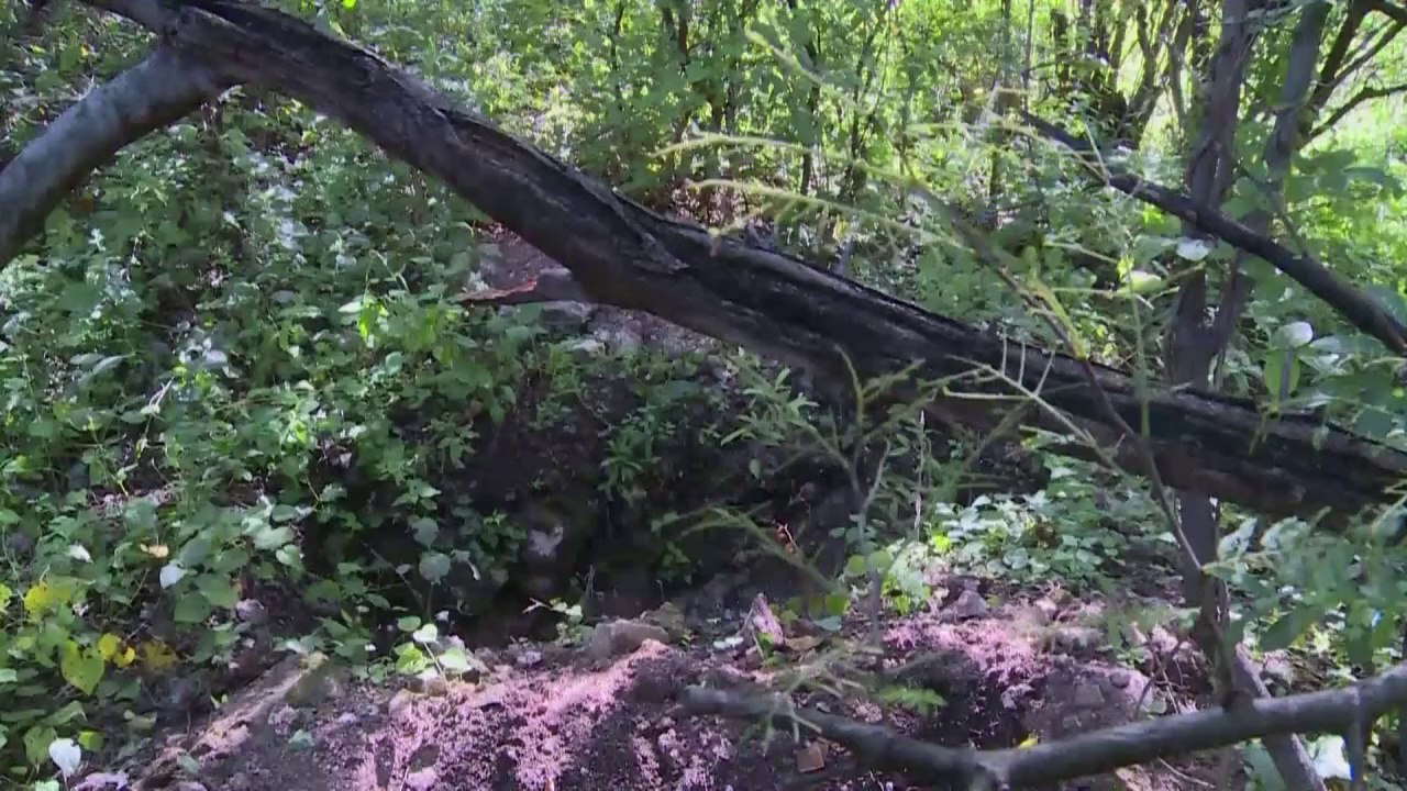 Gewalt in Mexiko nach Verschleppung von Studenten