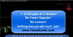 forex x code indicator review
