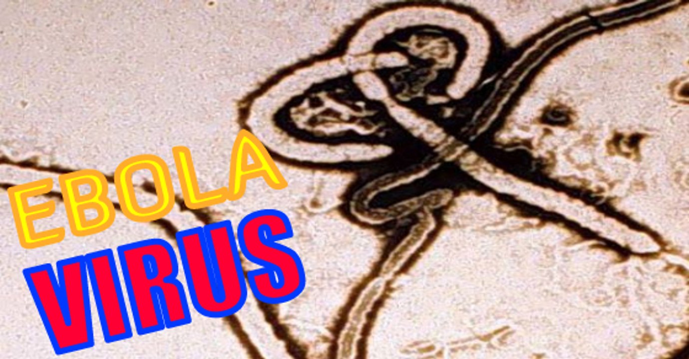 Ebola Virus Disease: What Is It, Symptoms, How Do You Get It?
