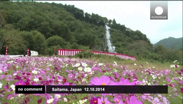 Japan celebrates handmade rocket festival