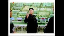 Líder norte-coreano reaparece em público