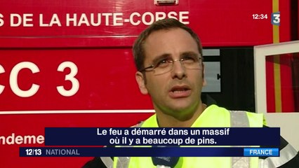 En Corse, les flammes dévorent le maquis