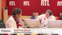 Phrase du jour : Ségolène Royal ministre de l’incohérence