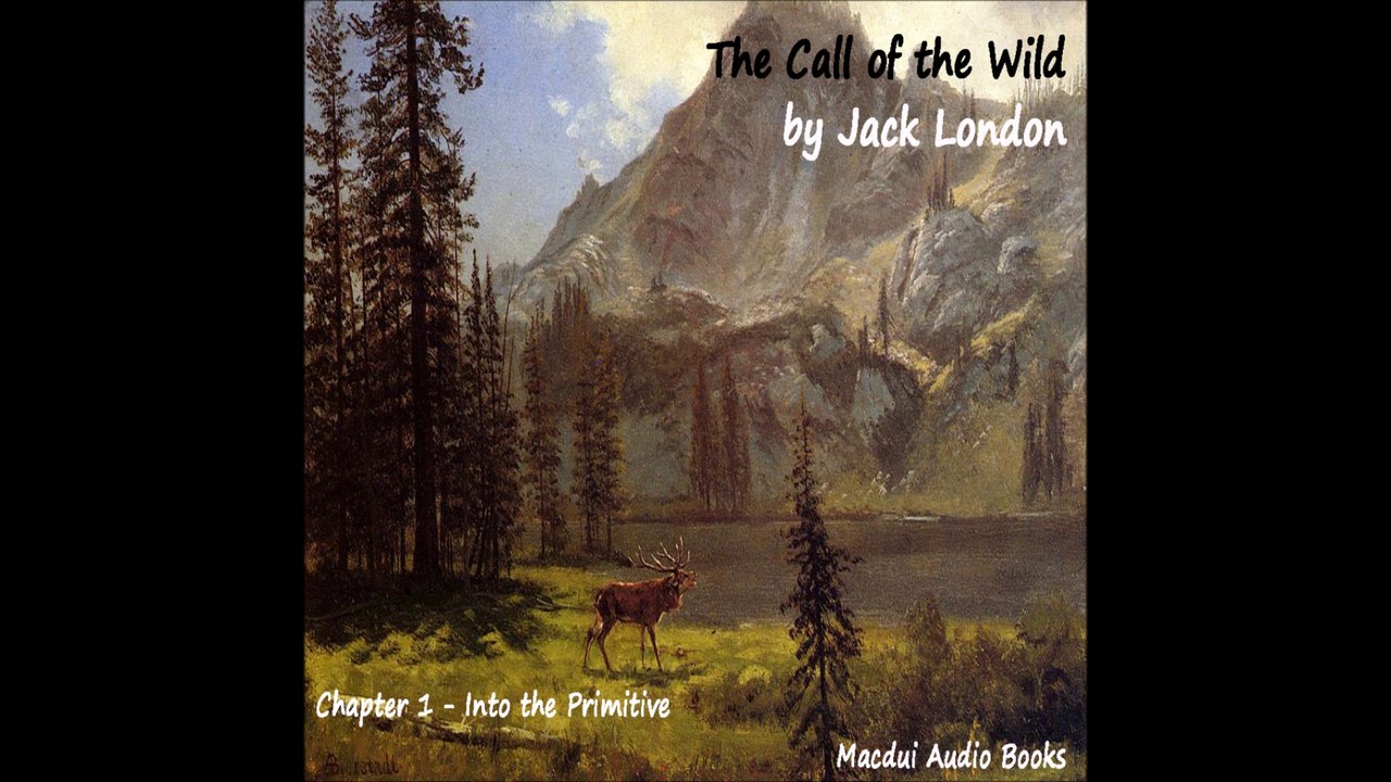 The Call of the Wild by Jack London Chapter 1 Free Audio Book