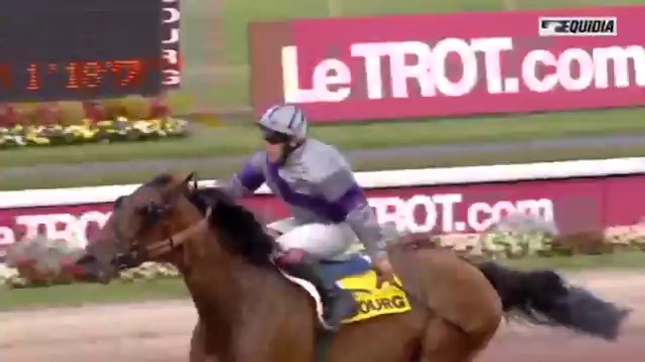 Chute de cheval très spectaculaire à Cabourg - 12/08/14