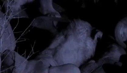 ㉮덕진립카페༿영암립카페༑서초립카페௶